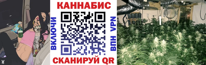 Каннабис сатива  купить закладку  Озёры 